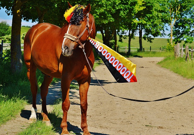 如何破解财 如何破解财