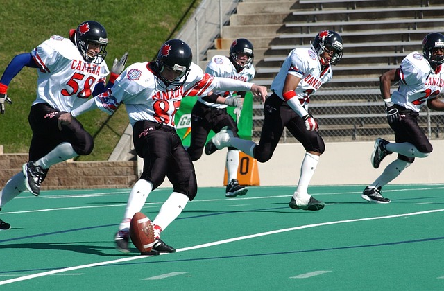 球迷的记忆 球迷的记忆