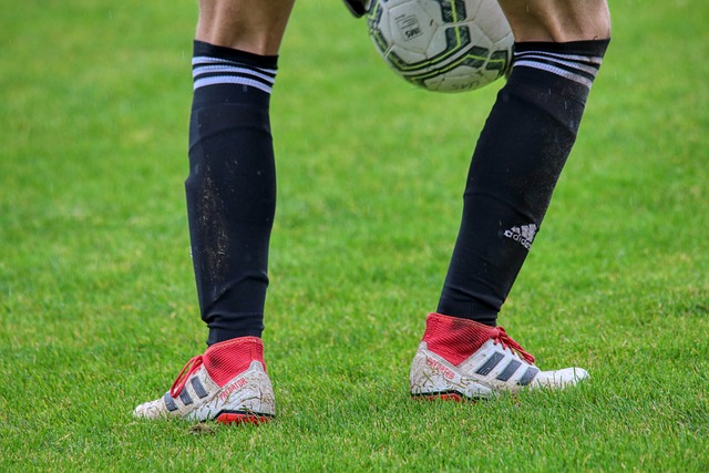 不言而喻 不言而喻