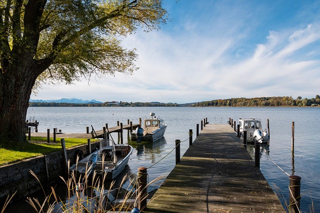 虽然在这场 虽然在这场